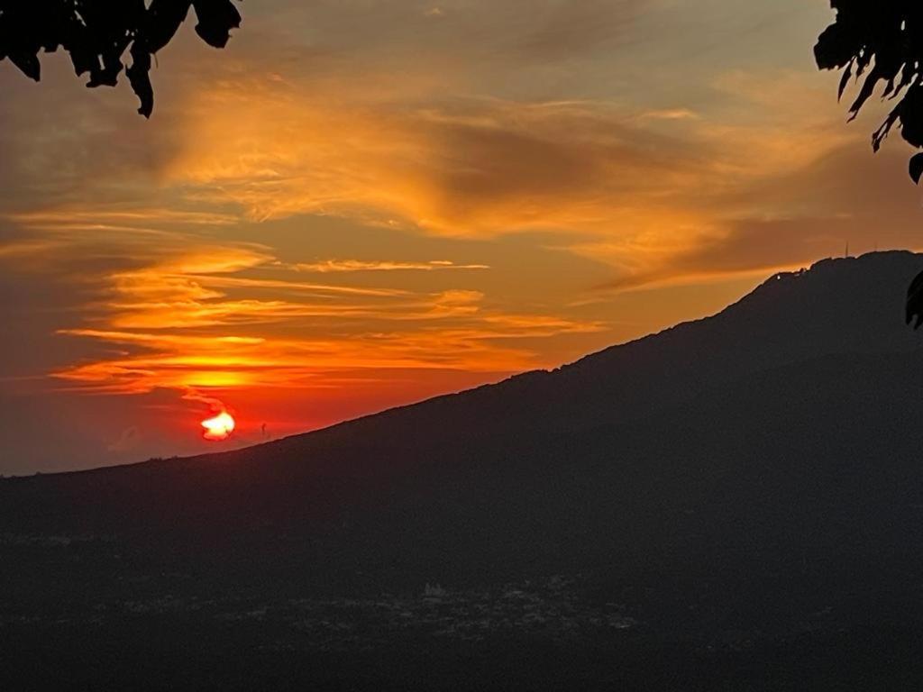 Provenza En Los Naranjos Juayúa Kültér fotó